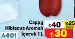 CAPPY HİBİSCUS AROMALI İÇECEK 1 L